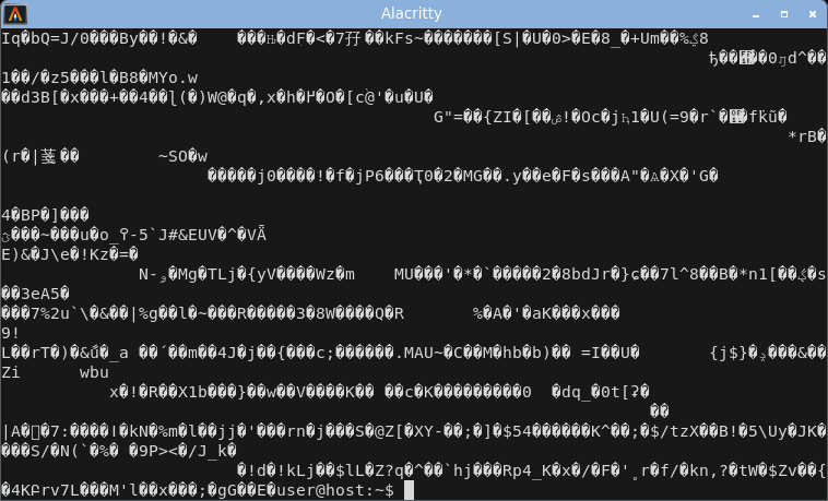 alacritty displaying random bytes: garbled.