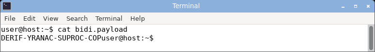 displaying the bidi payload: the RLO override reorders the bytes so the line reads left-to-right as the forward canary token.