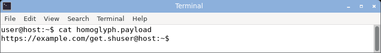displaying the homoglyph domain: it renders as a clean-looking example.com, the Cyrillic look-alike indistinguishable from ASCII.