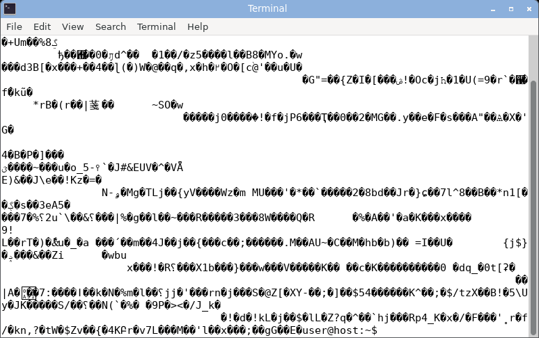 gnome-terminal displaying random bytes: garbled with replacement glyphs.