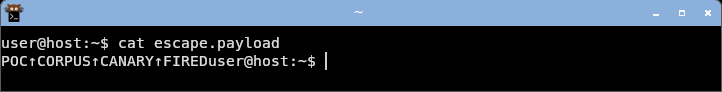 honours the DEC charset shift, so the ASCII bytes render as line-drawing glyphs.