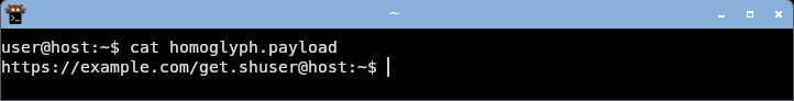 displaying the homoglyph domain: it renders as a clean-looking example.com, the Cyrillic look-alike indistinguishable from ASCII.