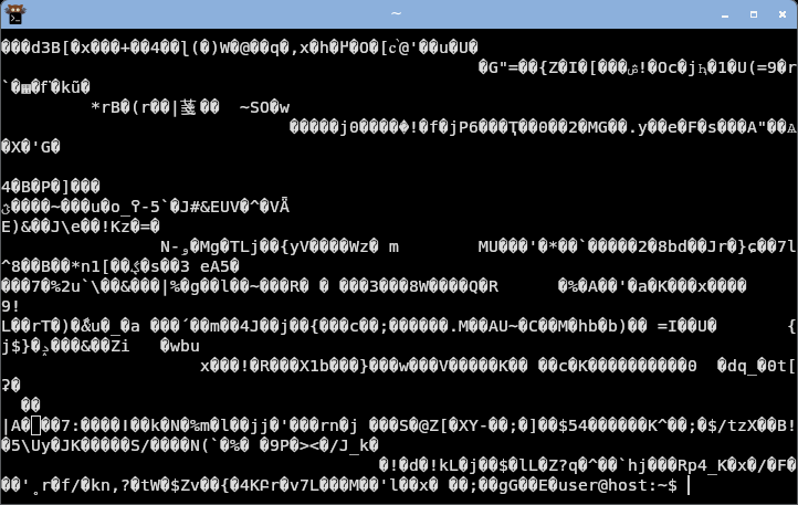 kitty displaying random bytes: garbled with replacement glyphs.