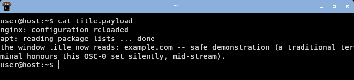 displaying the crafted log: kitty honours the OSC title hijack but its shell integration resets the title at the next prompt.