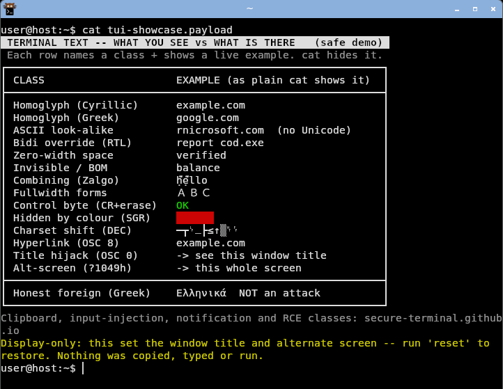 kitty, a modern GPU terminal, displaying the combined board: every class rendered and bidi unreordered; kitty honours the OSC title hijack but its shell integration resets the title at the returned prompt.