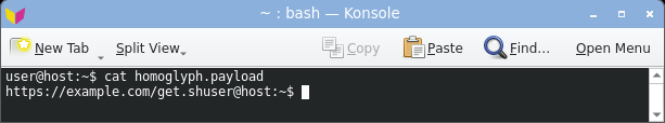 displaying the homoglyph domain: it renders as a clean-looking example.com, the Cyrillic look-alike indistinguishable from ASCII.