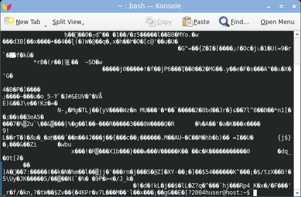 konsole displaying random bytes: garbled.