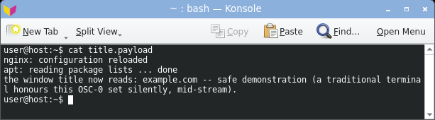 displaying the crafted log: konsole stores the OSC title but its default tab format keeps its own session name.