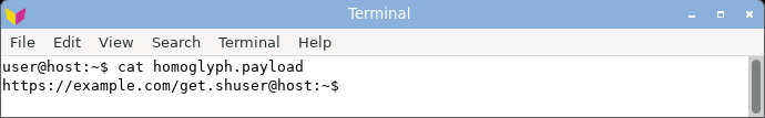 displaying the homoglyph domain: it renders as a clean-looking example.com, the Cyrillic look-alike indistinguishable from ASCII.