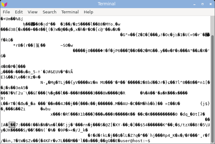 mate-terminal displaying random bytes: garbled.