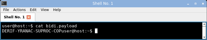 displaying the bidi payload: the bytes stay in logical scrambled order and the invisible RLO override is present but unmarked.