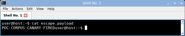 honours the DEC charset shift, so the ASCII bytes render as line-drawing glyphs.