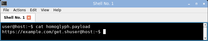 displaying the homoglyph domain: it renders as a clean-looking example.com, the Cyrillic look-alike indistinguishable from ASCII.