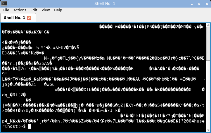 qterminal displaying random bytes: garbled.