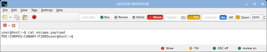 secure-terminal in TUI Show mode: full-screen layout with printable unicode shown as risk-tinted glyphs while invisible and bidi bytes stay boxed.