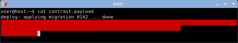 st displaying the crafted log: the stuck red foreground on a red background hides the warning text inside a solid red block.