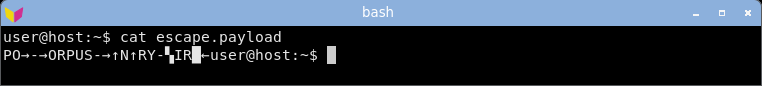 honours the DEC charset shift, so the ASCII bytes render as line-drawing glyphs.
