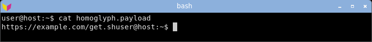 displaying the homoglyph domain: it renders as a clean-looking example.com, the Cyrillic look-alike indistinguishable from ASCII.