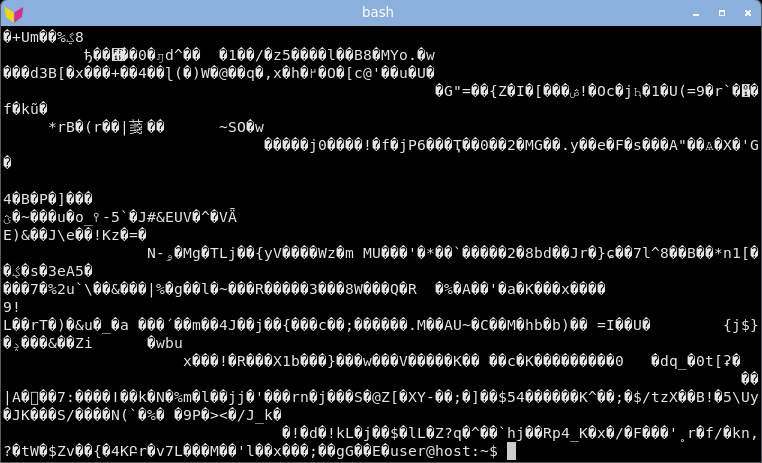 st displaying random bytes: garbled.