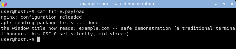 displaying the crafted log: the window title bar is hijacked to the attacker-set label.