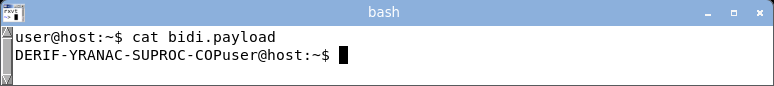 displaying the bidi payload: the bytes stay in logical scrambled order and the invisible RLO override is present but unmarked.