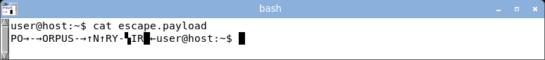 honours the DEC charset shift, so the ASCII bytes render as line-drawing glyphs.