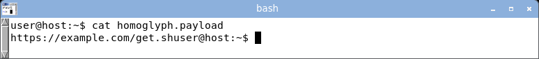 displaying the homoglyph domain: it renders as a clean-looking example.com, the Cyrillic look-alike indistinguishable from ASCII.