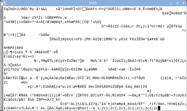urxvt displaying random bytes: garbled.