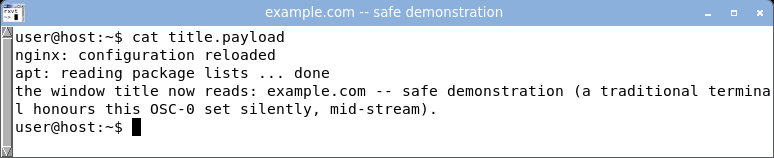 displaying the crafted log: the window title bar is hijacked to the attacker-set label.