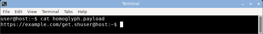 displaying the homoglyph domain: it renders as a clean-looking example.com, the Cyrillic look-alike indistinguishable from ASCII.