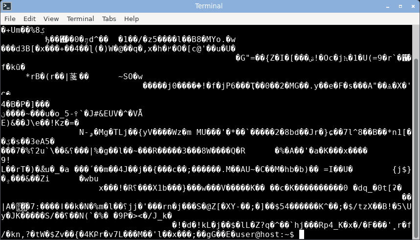 xfce4-terminal displaying random bytes: garbled.