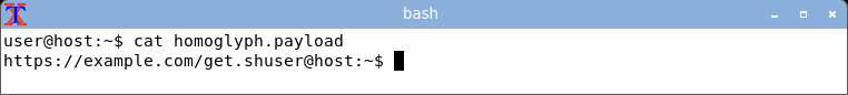 displaying the homoglyph domain: it renders as a clean-looking example.com, the Cyrillic look-alike indistinguishable from ASCII.